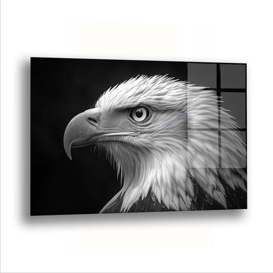 Kartal Bakışlar - Cam Tablo