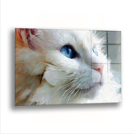 Mavi Gözlü Beyaz Kedi cam tablo — Beyaz bir kedi, buz mavisi gözleriyle yukarıya bakıyor.
