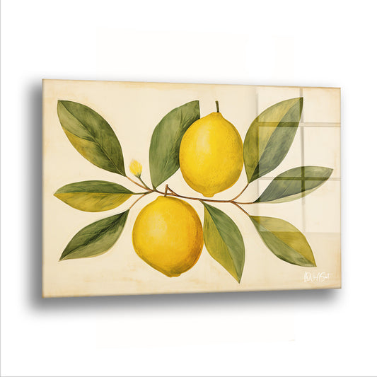 Sarı Limonlar 3 cam tablo — İki limon ve birkaç yaprak, eski bir kitaptan düşmüş gibi.