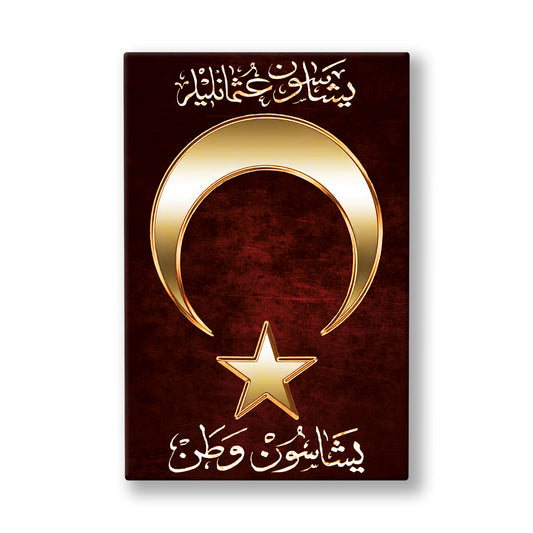 Yaşasın Osmanlılar Yaşasın Vatan kanvas tablo — Eskitilmiş bordo bir zeminde iri ve parlak altın bir ay yıldız ile Osmanlıca yazılmış iki satır.