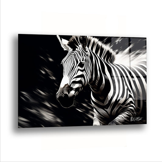 Zebra cam tablo — Siyahın içinden çıkıp gelen bir zebra, bir an için duruyor.