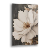 Eski Beyaz - Cam Tablo