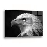 Kartal Bakışlar - Cam Tablo