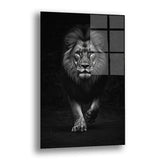 Siyah ve Beyaz Aslan - Cam Tablo