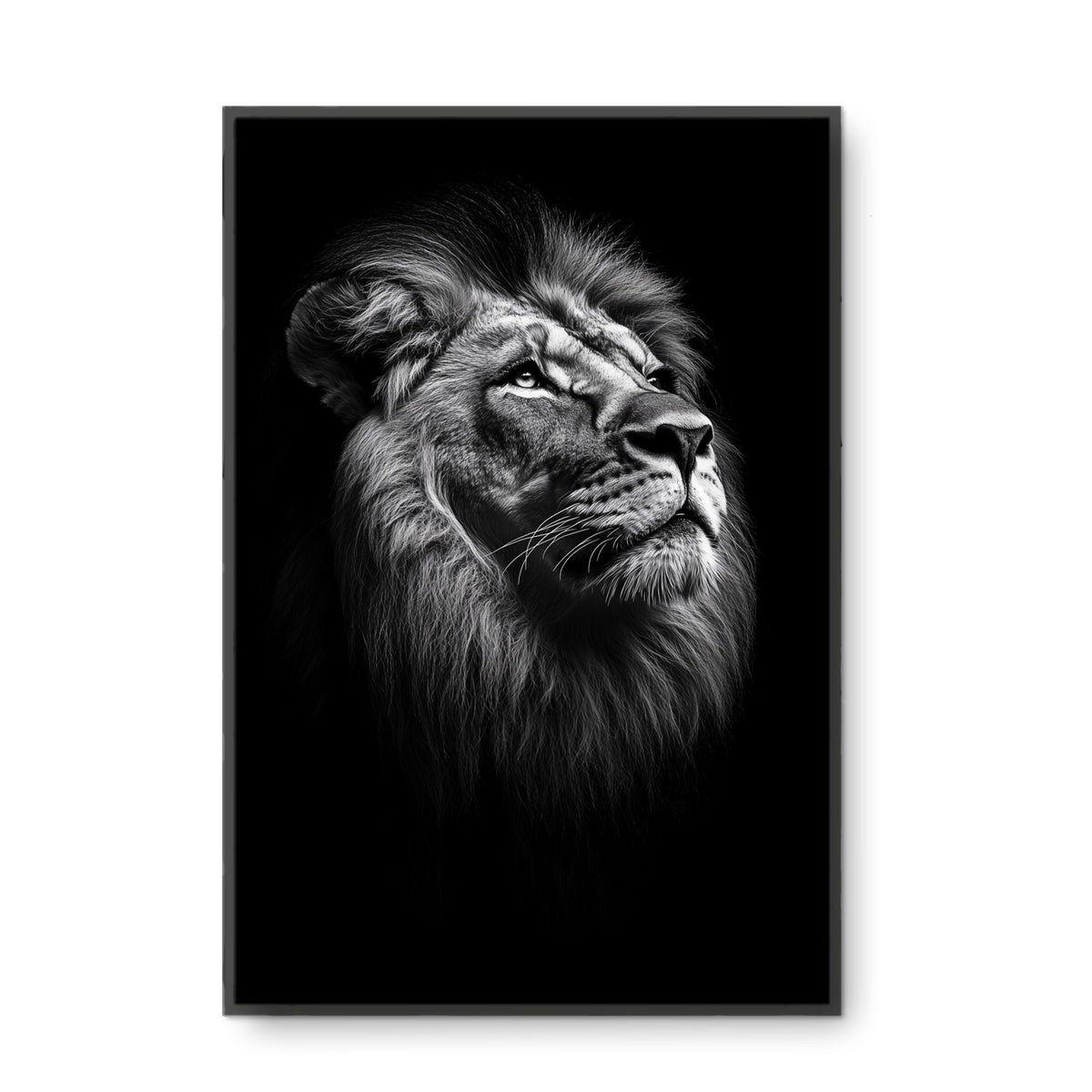 Karanlıkta Aslan - Kalın Metal Çerçeveli Kanvas Tablo