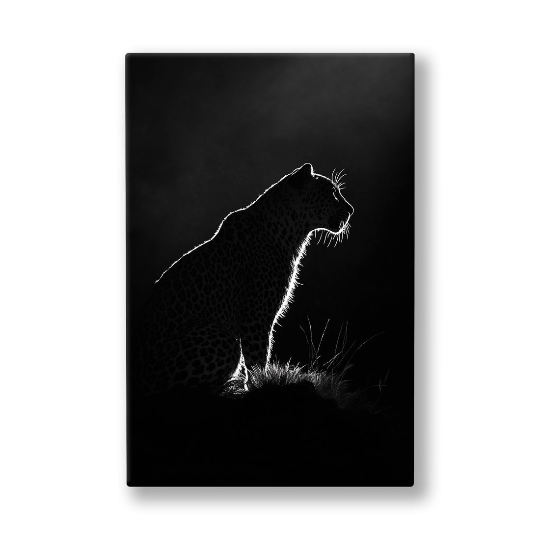 Karanlıkta Panter 2 kanvas tablo — Zifiri siyahın içinde panterin sırtı ince beyaz bir çizgiyle beliriyor.