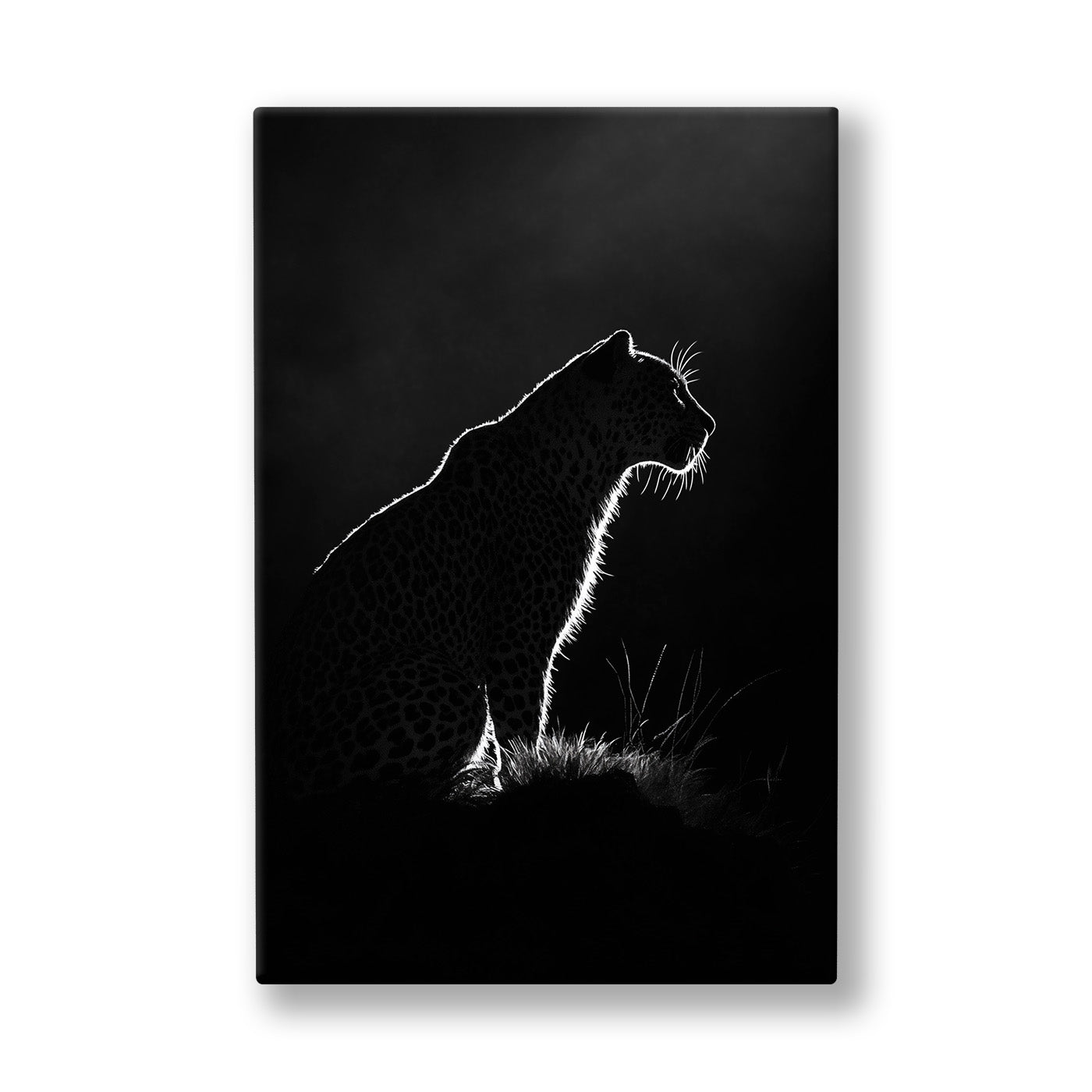 Karanlıkta Panter 2 kanvas tablo — Zifiri siyahın içinde panterin sırtı ince beyaz bir çizgiyle beliriyor.