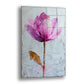 Pembe Manolya cam tablo — açık gri bir zeminde mor-pembe tek bir çiçeği incecik bir sapın ucunda öne çıkarıyor.