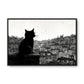 Şehirde Siyah Kedi - Kalın Metal Çerçeveli Kanvas Tablo