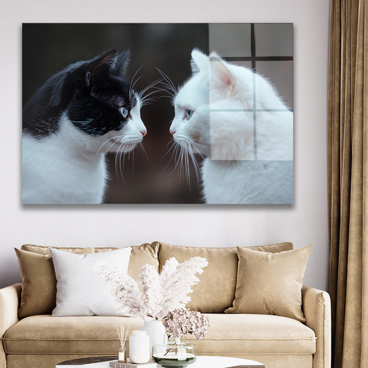 Siyah Beyaz Kedi İkilisi cam tablo — duvarda dekorasyon görünümü