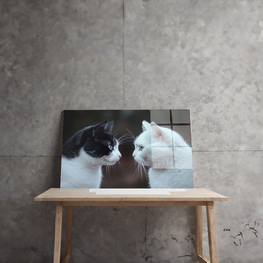 Siyah Beyaz Kedi İkilisi cam tablo — farklı açıdan görünüm