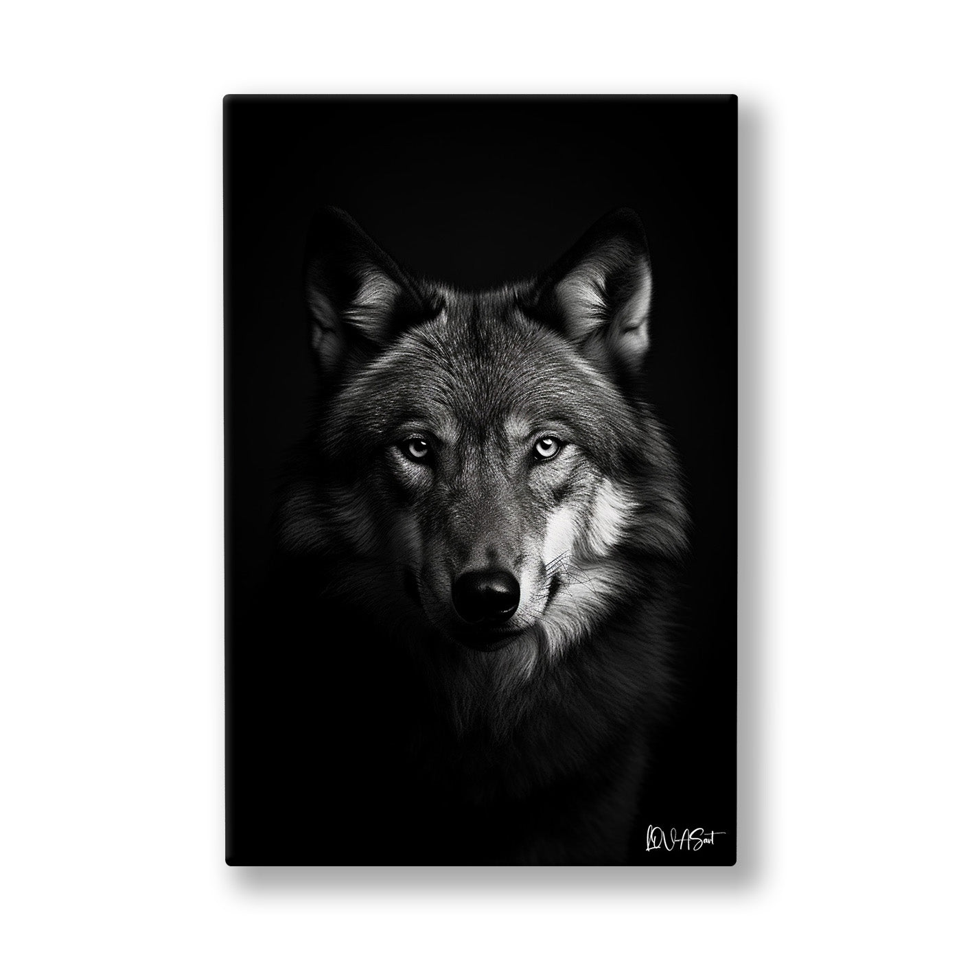 Siyah Beyaz Kurt 2 kanvas tablo — Karanlığın içinden çıkıp doğrudan gözünüzün içine bakan yalnız bir kurt.