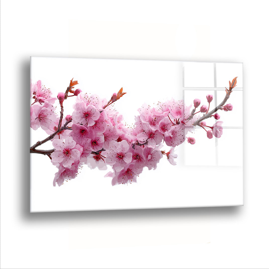 Uzanan Sakura Dalı cam tablo — Bembeyaz bir boşlukta pembe çiçeklerle dolu bir sakura dalı, soldan sağa uzanıyor.