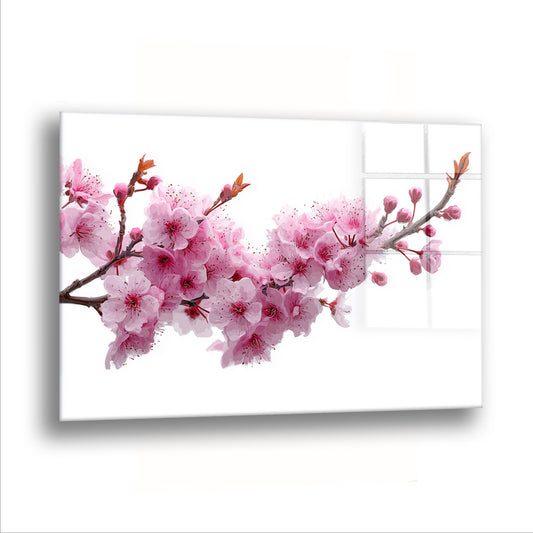 Uzanan Sakura Dalı cam tablo — Bembeyaz bir boşlukta pembe çiçeklerle dolu bir sakura dalı, soldan sağa uzanıyor.