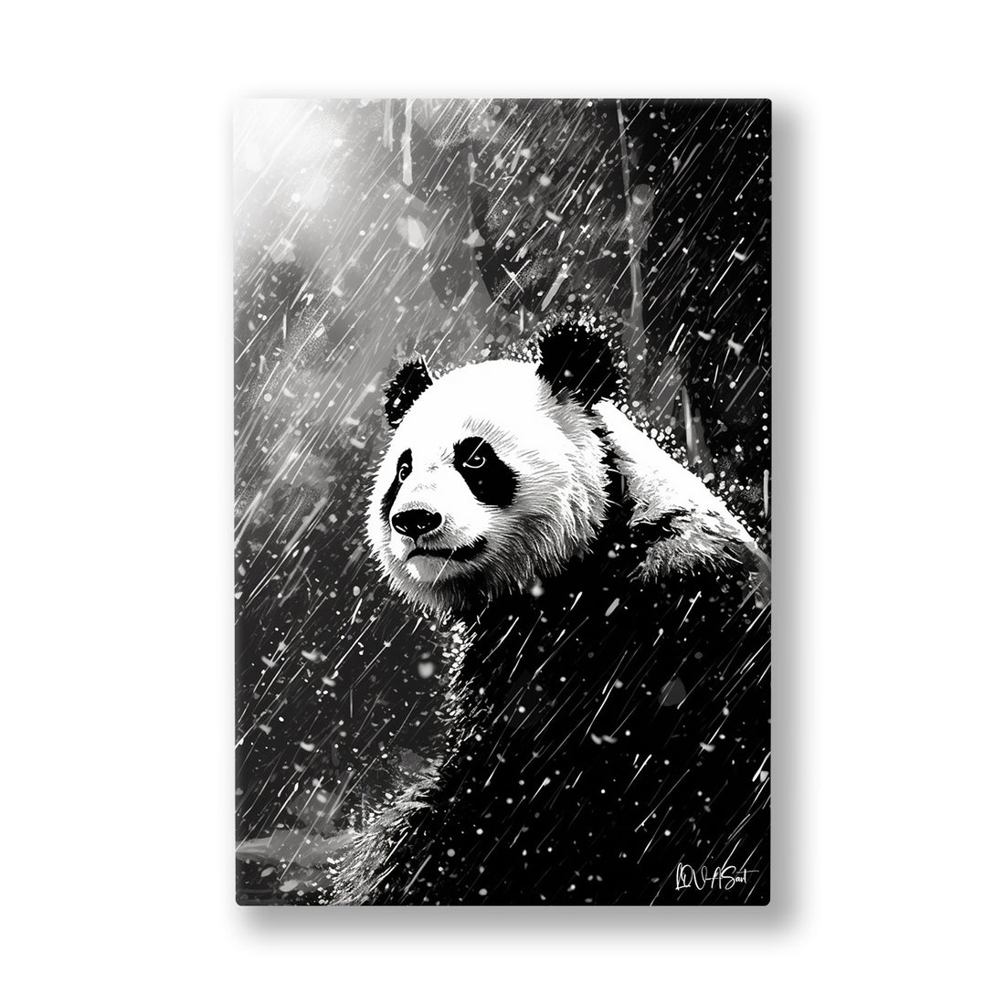 Yağmurda Panda kanvas tablo — Savrulan kar tanelerinin arasından bakan pandanın siyah beyaz portresi.