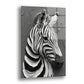 Zebra 2 cam tablo — siyah beyaz çizgili bir zebra başını kalın fırça izlerinı andıran bir gri zeminde güçlü biçimde işler.