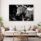 Zebra kanvas tablo — duvarda dekorasyon görünümü