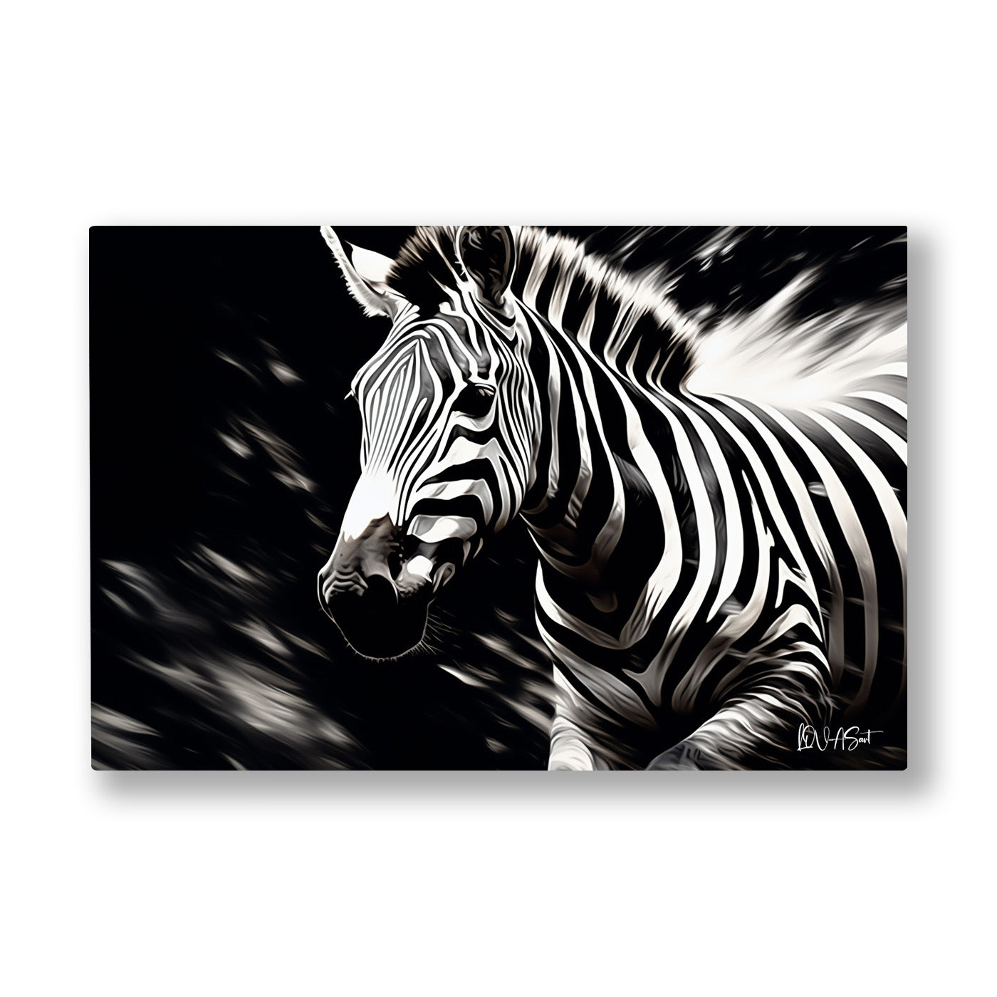 Zebra kanvas tablo — Simsiyah bir zeminden çıkan zebranın keskin beyaz çizgili başı.