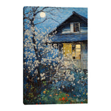 Beyaz Çiçekli Ağacın Evi