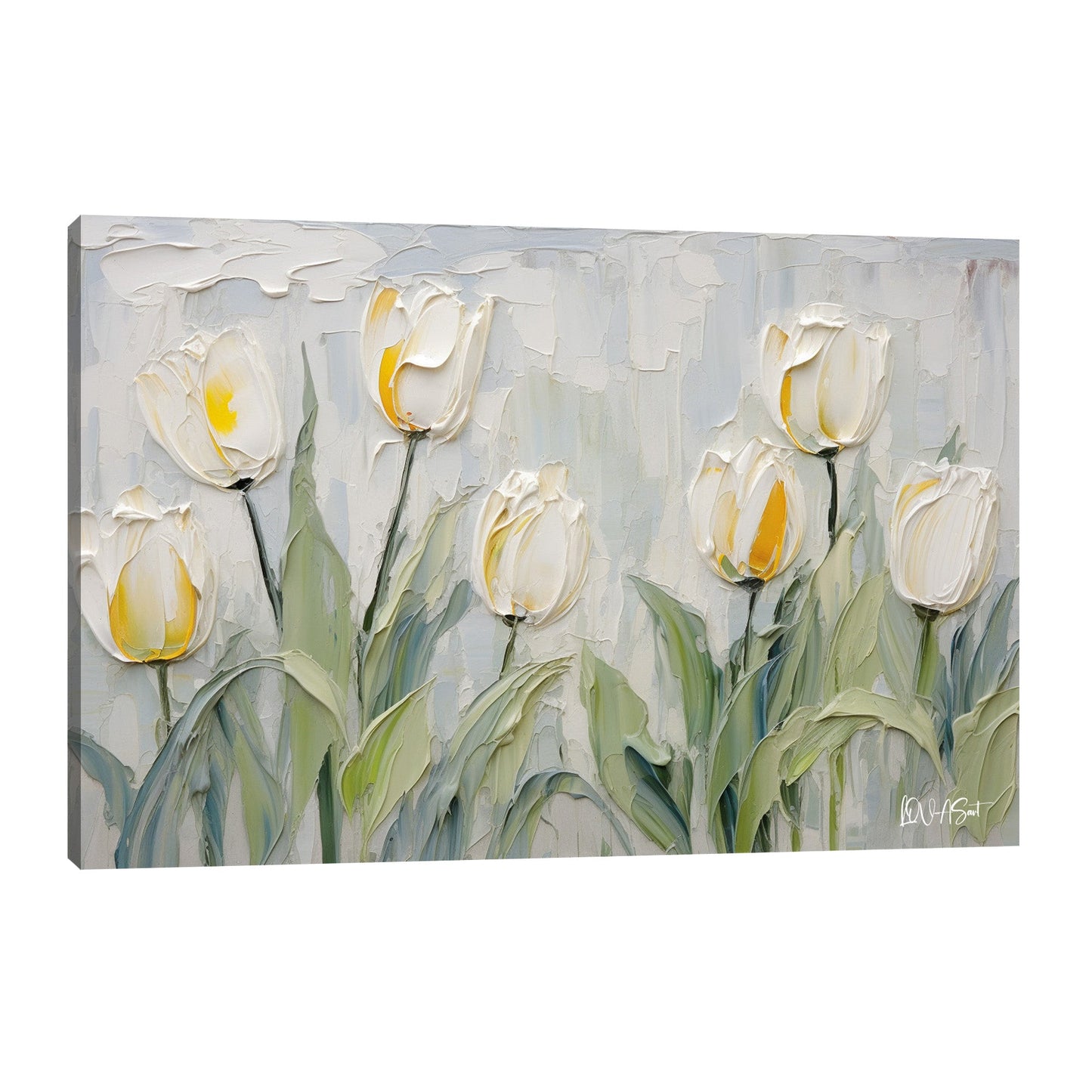 Beyaz Lale Büyüsü