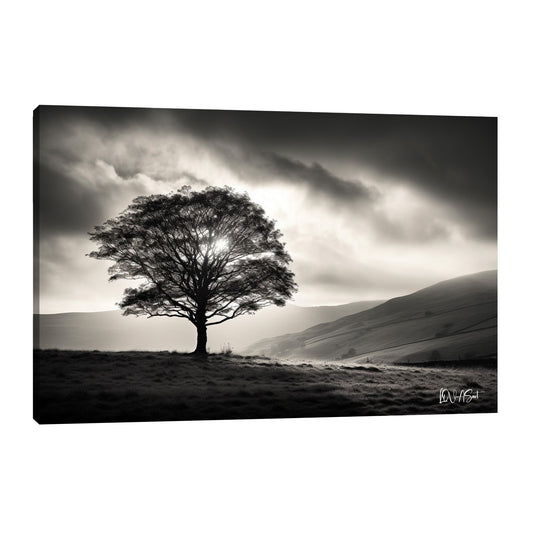 Bulutların Altındaki Ağaç